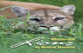 mountain lion brochure book layout - North Dakota · lions between kills of larger prey, and can help young lions develop hunting skills. Lions are ambush hunters. After they spot