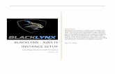 Blacklynx - AWS I3 Instance Setup · BlackLynx - AWS I3 Instance Setup BlackLynx - AWS I3 Instance Setup BlackLynx, Inc. ©2019 Page | 1 BlackLynx specializes in rapid search of big