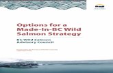 Options for a Made-In-BC Wild Salmon Strategy...A made-in-BC Wild Salmon Strategy will set the stage for a return to a vibrant marine and freshwater ecosystem, and for the local, regional