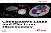Correlative Light and Electron Correlative Light and Electron Microscopy 9 Example of a CLEM experiment