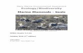 Manx Marine Environmental Assessment Ecology/Biodiversity ... · Grey seals are widely distributed throughout the Irish Sea, with a population estimate for the whole area of 5,198