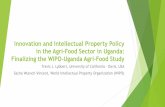 Innovation and Intellectual Property Policy in the Agri ...Introduction to Group Session 1 Group session 1: Map the innovation ecosystem of Uganda’s agri-food sector or maize, coffee