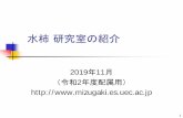 水柿研究室の紹介 ー 全般 - mizugaki.es.uec.ac.jp · 3 水柿研究室ー全般2 ゼミ・その他の行事： 研究室内 輪講、研究報告。（週2回、通年）