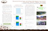 Quantification of Soil Carbon in Ituri Forest, Dem. Rep. Congo · Democratic Republic of Congo. Lenda1 Forest Dynamics Plot is located at the north of Lenda2, at 1o 19' N latitude