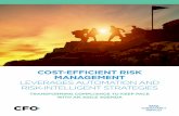 COST-EFFICIENT RISK MANAGEMENT LEVERAGES AUTOMATION … · 2 I COST-EFFICIENT RISK MANAGEMENT LEVERAGES AUTOMATION AND RISK-INTELLIGENT STRATEGIES While governance, risk and compliance