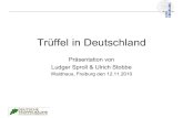 Trüffel in Deutschland...Trüffel in Deutschland Präsentation von Ludger Sproll & Ulrich Stobbe Waldhaus, Freiburg den 12.11.2010