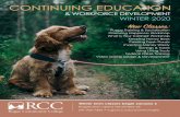 RCC Continuing Education & Workforce Development Catalog - … · 2019-12-13 · you have some training or are an aspiring artist, Disney veteran animator Phil Young can show you