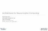 Architectures for Neuromorphic ComputingGoldenGate TrueNorth 4 0 100 200 300 400 500 600 0 50 100 150 200 250 Time (ms) Neuron Index Simulation Chip Fig. 5. The spiking dynamics of