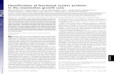 Identification of functional marker proteins in the ... · Identification of functional marker proteins in the mammalian growth cone Motohiro Nozumia,b, Tetsuya Toganoa,c, Kazuko