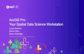 ArcGIS Pro: Your Spatial Data Science Workstation · Data Engineering. Visualization & Exploration. Spatial . Analysis. Machine Learning & AI. Modeling & Scripting. Big Data Analytics.
