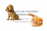CATÁLOGO DE PEQUEÑOS ANIMALES - Ambiente Web · PDF file type jaws I I ciper cats . SB-11-1012 Leather acqustaNe Muzzle for . SB.11-1015 Capture net cats SB.13-1304 veterinary vagina