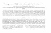 A reappraisal of Tylenchina (Nemata) : 11. List of generic ...horizon.documentation.ird.fr/exl-doc/pleins_textes/pleins_textes_5/pt… · A reappraisal of Tylenchina (Nemata). 11.