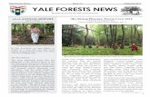 Yale Forests News Issue 17 February 2017 YALE FORESTS … Forests Newsletter_17FINALFINAL.pdfYale Forests News Issue 17 February 2017 Forest Crew began unremarkably this summer, with