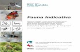 Heft 54, 2017 WSL Berichte - Altermatt lab · Klaiber et al. 3 WSL-Berichte, Heft 54, 2017 Zusammenfassung Die Fauna Indicativa charakterisiert in Tabellenform ökologische Präferenzen