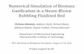 Numerical!Simulation!of!Biomass! Gasi3ication!in!a!SteamBlown! … · 2019-03-15 · biomass pyrolysis oxidant fuel biomass pyrolysis char gasification oxidation of char and volatiles