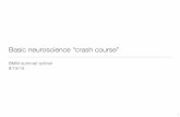 Basic neuroscience “crash course” - MIT OpenCourseWare · PDF file Basic neuroscience “crash course” ... EEG/MEG - high temporal resolution, broad coverage, low spatial information