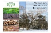WOODY BIOMASS ENERGYtechnologies available to facilities considering woody biomass energy systems. CORDWOOD is the most common form of woody biomass energy in New England today although