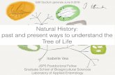 Natural History: past and present ways to understand the Tree of ocw.nagoya-u.jp/files/562/Vea.pdf · PDF file 2018-07-18 · Natural History • A subﬁeld of natural sciences that