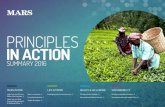 PRINCIPLES IN ACTION - Alimentos Processados · Principles in Action Summary 2016 Mars in 2016 Life at Mars Healt & Wellbeing Sustainability 5 21 E V E R Y T H I N G R S T A R T S