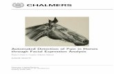Automated Detection of Pain in Horses through Facial ... Automated Detection of Pain in Horses through