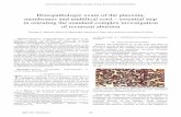 Histopathologic exam of the placenta, membranes and ... · recurrent abortion the repeated screening for resistance to activated C protein, the molecular diagnosis for Leiden mutation