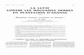 LA LUTTE CONTRE LES MAUVAISES HERBES EN PLANTATION …agritrop.cirad.fr/457563/1/document_457563.pdf · Fruits -Vol. 14, no 6, 1959 LA LUTTE CONTRE LES MAUVAISES HERBES EN PLANTATION