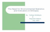 The Need for Environmental Statistics and Indicators in Ethiopia W… · The role of Environmental statistics and indicators in sustainable development endeavors is immense. 8 The