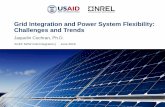 Grid Integration and Power System Flexibility: …...The grid is evolving at the distribution level too 11 New Challenges in a Modern Grid •Increasing levels of power electronics-based