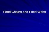 Food Chains and Food Webs - Mrs. Cassise - Home · 2018-08-19 · Food Chains and Food Webs . Food Chains When an animal eats a plant or another animal, a food chain has begun. Food