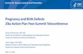 Pregnancy and Birth Defects Zika Action Plan Post -Summit ... · 5/11/2016  · Brain destruction resulting in collapse of the fetal skull, microcephaly, scalp rugae and neurologic