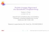 Protein Image Alignment via Quadratic Programmingpotra/ProteinPresRev2.pdf · Protein Image Alignment via Quadratic Programming Florian A. Potra potra@math.umbc.edu Department of
