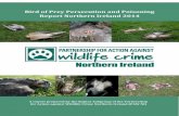 Bird of Prey Persecution and Poisoning Report Northern Ireland · 2016-11-24 · Bird of Prey Persecution & Poisoning Report Northern Ireland 2014 Page | 3 SUMMARY Raptor persecution