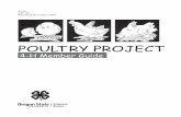 Resources POULT RY PROJECT - OSU Extension Catalog · POULT RY PROJECT $3.00 4-H 150 Reprinted November 2005 4-H Member Guide. 2 Contents 3 Which Came First? 4 Poultry Production
