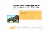 Molecular, Cellular, and Developmental Biology ...labs.mcdb.lsa.umich.edu/files/grad/gradhandbook2008.pdfPh.D Student Handbook Fall 2008 Orientation 2008-2009 Academic Year Molecular,