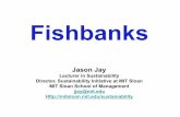 Fishbanks - Massachusetts Institute of Technology · A brief history of Fishbanks… Paper version invented by Dennis Meadows, former MIT Sloan Professor of System Dynamics, 1986