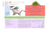 The Pulse 12/14 THE PULSE - Sacred Heart School...1 The Pulse 12/14 THE PULSE SHSM ISSUE 2, DECEMBER 2014 12/14 Faculty Advisor: Ms. McIvor Co-Editors: Erika Cheng-Tarantino & Corinne