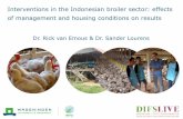 Interventions in the Indonesian broiler sector: effects of · PDF file 2017-12-07 · Challenges for the Indonesian broiler farmers Monitoring results: data collection Broiler management
