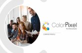 COMPANY PROFILE - ColorPixel Technologies · COMPANY PROFILE. Excellence in Business Intelligence! 2. WHO WE ARE ColorPixel Technologies is a member company of the Devasya Group providing