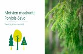 Metsien maakunta Pohjois-Savo - foreSavo · Tuottoa ja iloa metsistä . Pohjois-Savon metsiennykytila. Pohjois-Savossa 83 prosenttia pinta-alasta on metsätalouden maata Poistuma