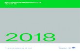 Konzerngeschäftsbericht 2018 Munich Re...die digitale Transformation voran, reduzieren Komplexität und An die Aktionäre 4 Munich Re Konzerngeschäftsbericht 2018 arbeiten mit ambitionierten