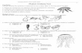 Phylum Cnidaria Test - District Five Schools of ...€¦ · Phylum Cnidaria Test True/False Indicate whether the sentence or statement is true or false. Mark “a” for true and
