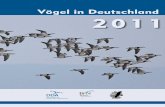 Vögel in Deutschland 2011 · 2019-12-18 · 4. Das Wichtigste in Kürze. Deutschland: Drehkreuz des internationalen Wasservogelzuges • Auf unseren Gewässern rasten während des