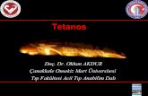 Tetanos - ATUDERfile.atuder.org.tr/_atuder.org/fileUpload/4atM6g8aIMrT.pdf · • Tetanos olgularının çoğunda immünite yetersiz. • Amerika’da 70 y üzerinde immunite oranı