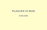 CHOLERA - Florida State Universityreeves/ISC2937/Lectures/Cholera.pdf · Cholera Vaccine Oral. des Voyageurs et Cholera Or" and Cholera: Building a Better / Vaccine