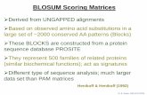BLOSUM Scoring Matrices - IITKhome.iitk.ac.in/~rsankar/courses/lec04.pdfDr. R. Sankar, BSE 633 (2020) BLOSUM Scoring Matrices Derived from UNGAPPED alignments Based on observed amino