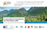 Le procedure di sorveglianza per Rete Natura 2000” · Workshop «Le procedure di sorveglianza per Rete Natura 2000» –Milano, 05/11/2019 TITOLO PRESENTAZIONE Relatore “Le procedure