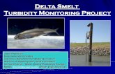 Delta Smelt Turbidity Monitoring Project...Federal Judge Oliver Wanger ruled (case number 1:05-CV-01207-OWW-GSA): Natural Resources Defense Council, et al. vs. Dirk Kempthorne (Secretary