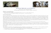 Animal Minds and Ethicsnicolasdelon.com/resources/Syllabus_AME_2020.pdf · the complex relations between animal cognition and ethics; 4) ability to speak and write clearly about these