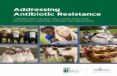 Addressing Antibiotic Resistance · connect agricultural and veterinary medical researchers with biomedical and human health researchers to avoid duplication of eﬀort and optimize