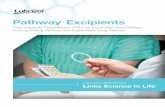 Pathway Excipients · 2019-11-21 · Pathway™ excipients are pharmaceutical grade TPUs that provide drug and combination product developers with an innovative, versatile and customizable